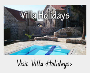 visit-villa